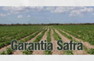 Ministério da Agricultura anuncia alteração no Garantia-Safra e valores