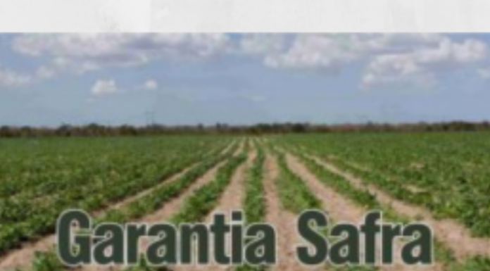 Ministério da Agricultura anuncia alteração no Garantia-Safra e valores
