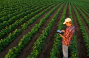 Empresas alemãs trarão benefícios para agricultura familiar na Bahia