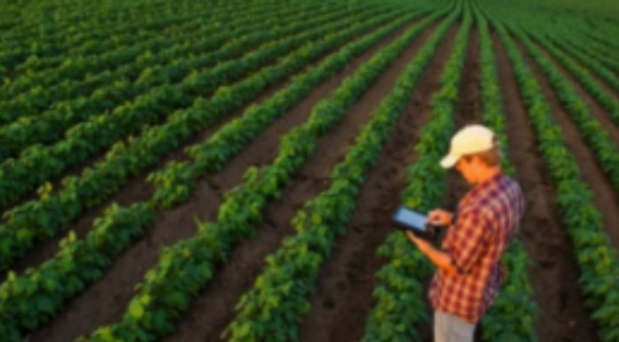 Empresas alemãs trarão benefícios para agricultura familiar na Bahia