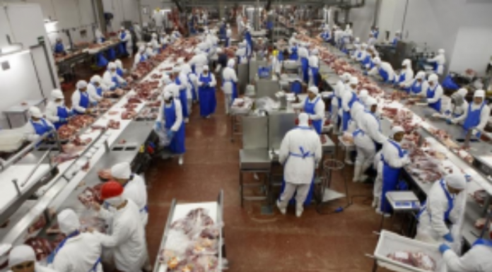 Marfrig firma parceria com a ADM para produção do hambúrguer vegetal no Brasil