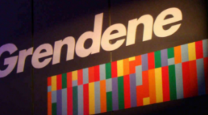 Grendene registra queda significativa na receita líquida