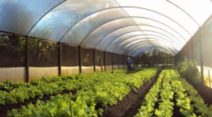 Conheça alguns modelos de lona plástica para alavancar no agronegócio