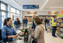 Lidl Job Vacancies in Spain: Opportunities and Career Paths